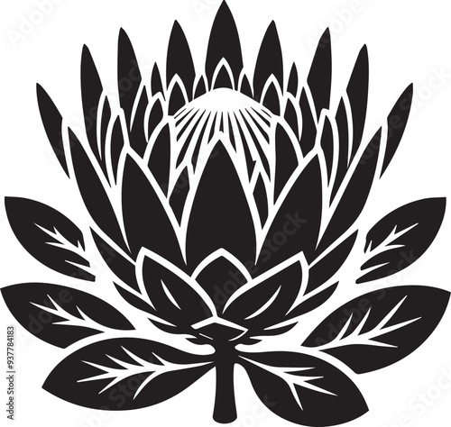 sketch of king protea flower black silhouette vector, Black and white flower