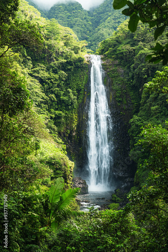 Majestic waterfall surrounded by nature
