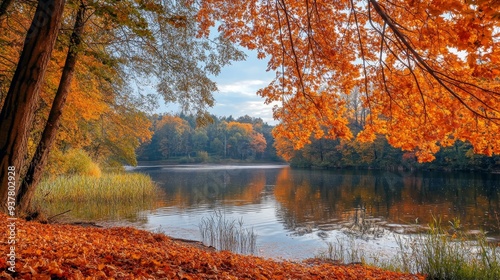 Serene Autumn Lake with Vibrant Foliage - A tranquil lake reflecting the golden hues of autumn leaves, showcasing the beauty of nature's transformation.  The scene evokes feelings of peace and tranqui photo