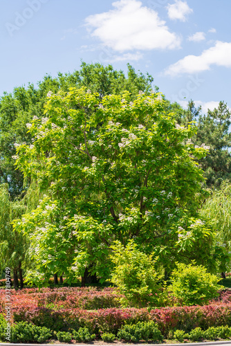 Green Haven
