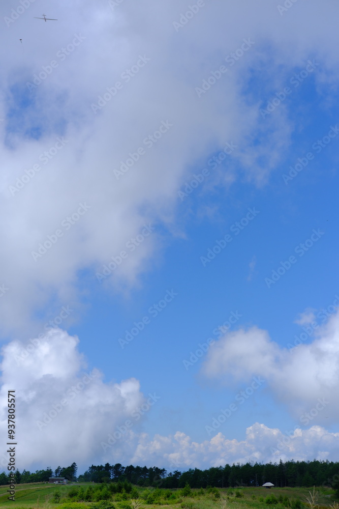 field and blue sky field and blue sky