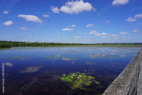 Blick auf den Federsee in Bad Buchau im Sommer photo