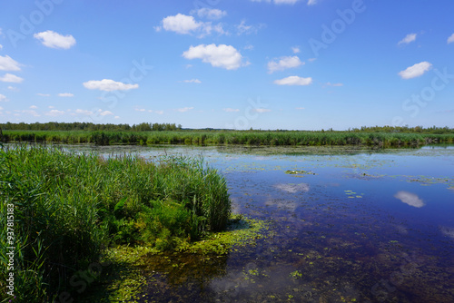 Blick vom Federseesteg auf den Federsee in Bad Buchau in Baden Württemberg im Sommer photo