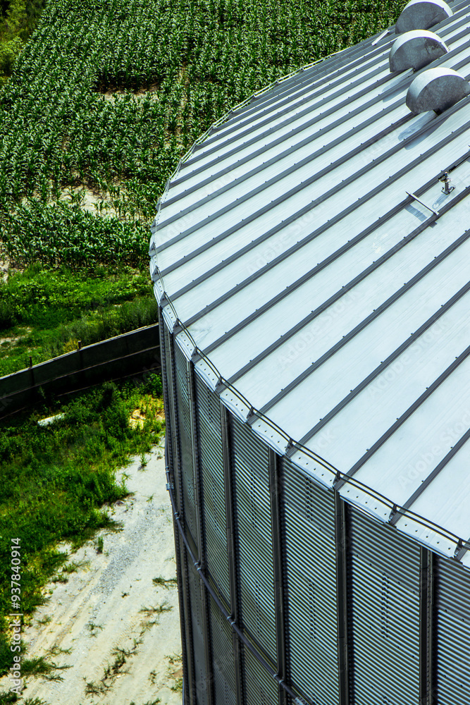 Close-up of large grain storage silos with precision-engineered metal roofs. Essential for high-capacity agricultural storage facilities. Vertical photo