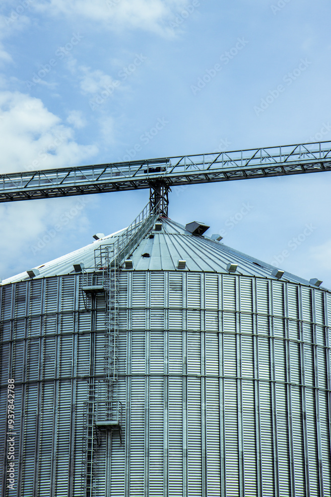 Close-up of large grain storage silos with precision-engineered metal roofs. Essential for high-capacity agricultural storage facilities. Vertical photo