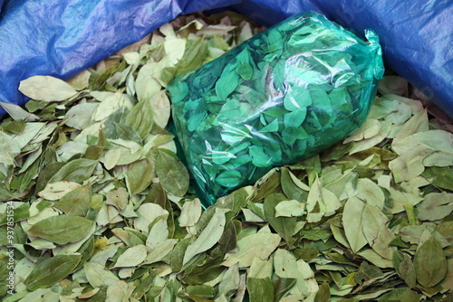 Potosí, Bolivia. 13-05-2024. bag full with coca leaves. The miners chew these as an energy supply.