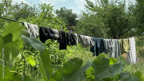 Wallpaper Mural Men's underwear dries after washing on a rope on a summer day. Torontodigital.ca