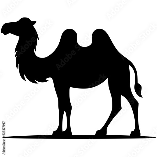 Desert camel silhouette