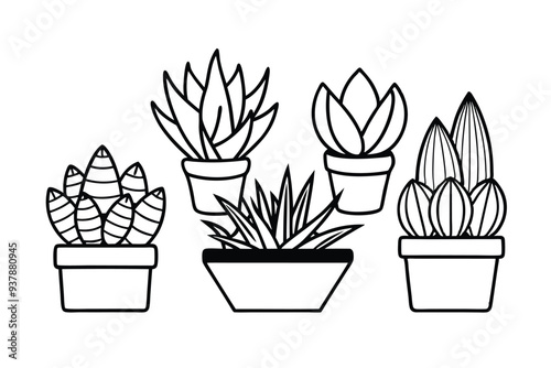 Vector illustration of diverse succulents in textured pots, perfect for botanical designs.