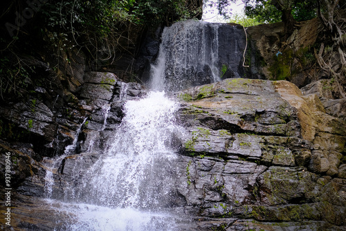 waterfall in the forest photo