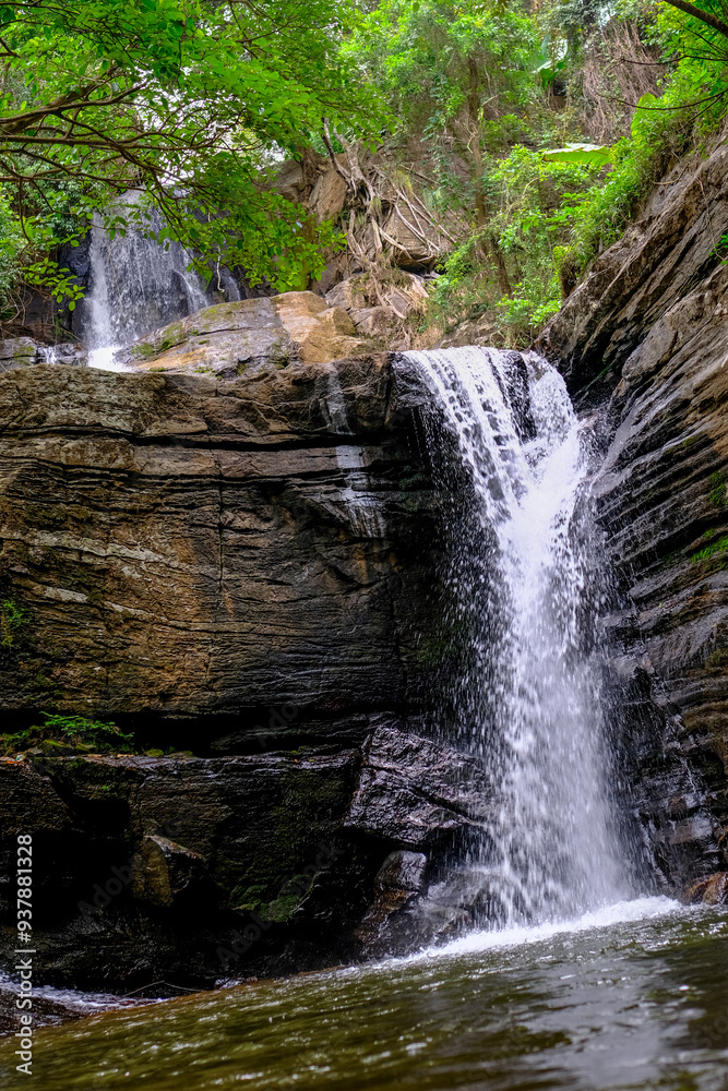Fototapeta premium waterfall in the forest