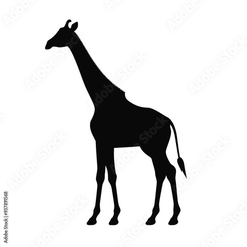 black silhouette of a giraffe isolated on white background