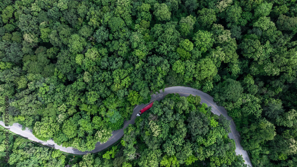 Aerial view  trailer car drive in green tree forest road winding road through the forest, Trailer car drive on asphalt road between green tree forest.