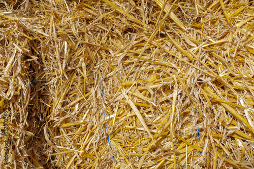 Texture of yellow straw hay in sunlight. photo