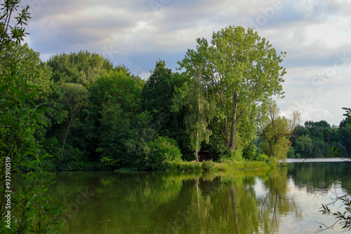 Green landscape with trees