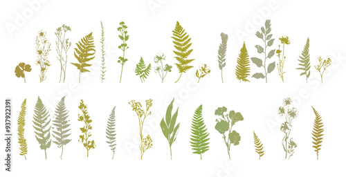 Detailed trendy design for natural products, wall art, social media, prints, invitations and branding design. Vector set of line drawings of decorated women's heads with flowers, plants and leaves.