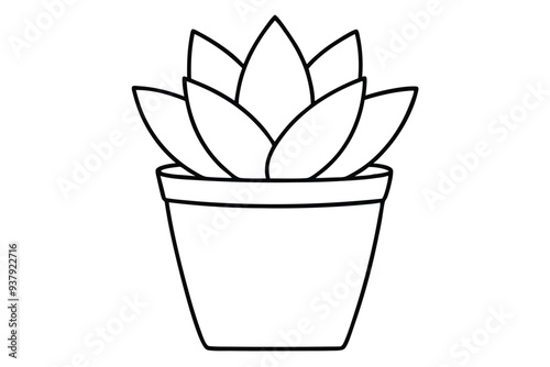 Succulent Plant in Pot line art vector illustration