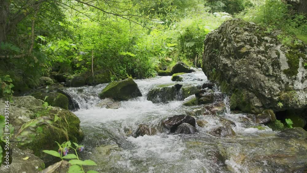 Refreshing mountain stream flows over a bunch of rocks, rushing down among the wild trees. Refreshing mountain stream flows over a bunch of rocks, rushing down among the wild trees.