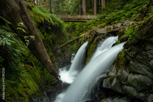 Smooth Streams Of Sol Duc Falls Drop Around A Fallen Tree Trunk Leaning On The Mossy Green Wall