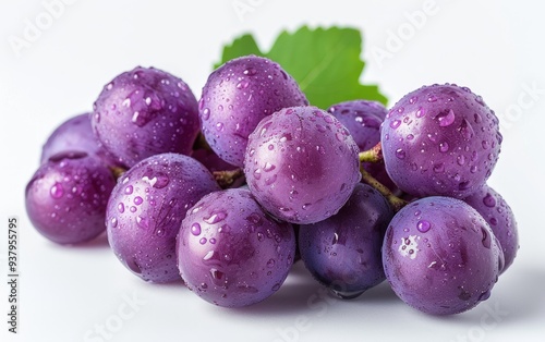 A bunch purple grapes glistening with water dewy isolated on white background