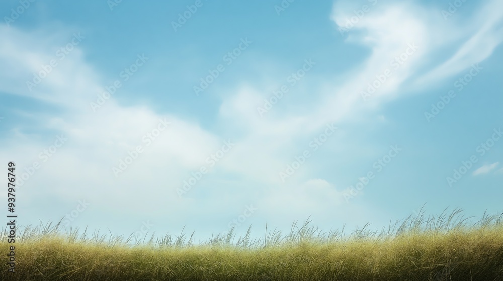 Grassy field under a bright blue sky with soft white clouds creating a peaceful landscape
Grassy field under a bright blue sky with soft white clouds creating a peaceful landscape