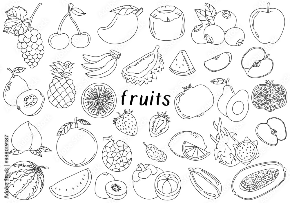 Set of fruit black and white line elements vector illustration Set of fruit black and white line elements vector illustration