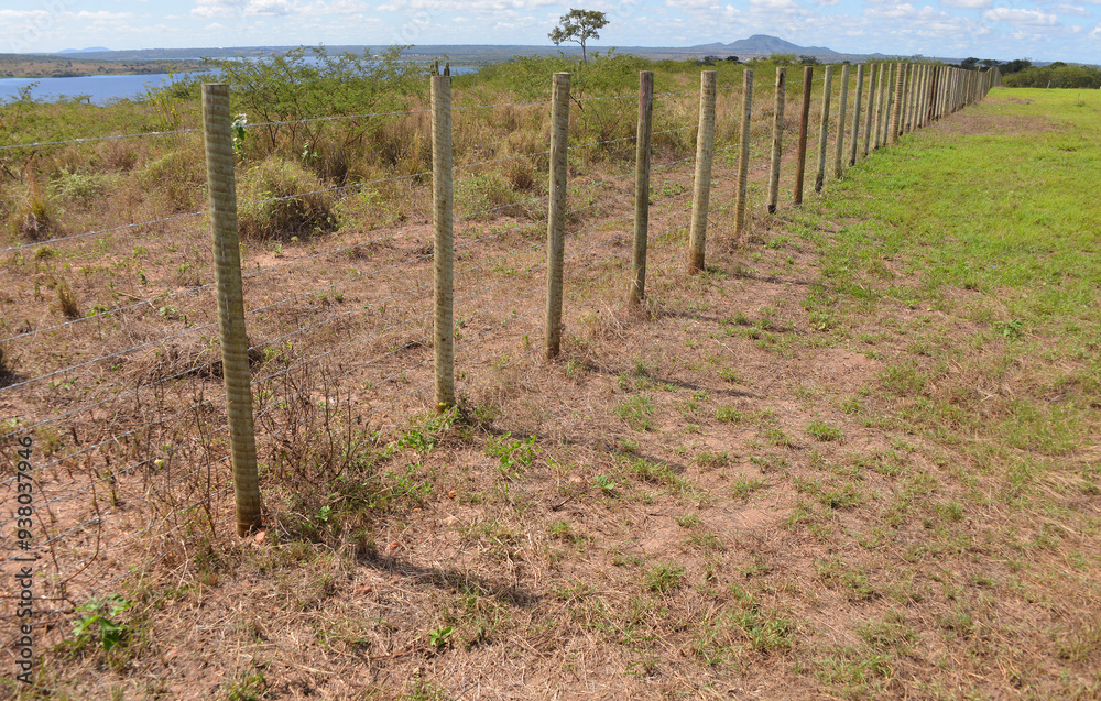 Eucalyptus timber are heavily treated to specifically be used for use garden edging, fence posts, retaining walls and easy to work with.