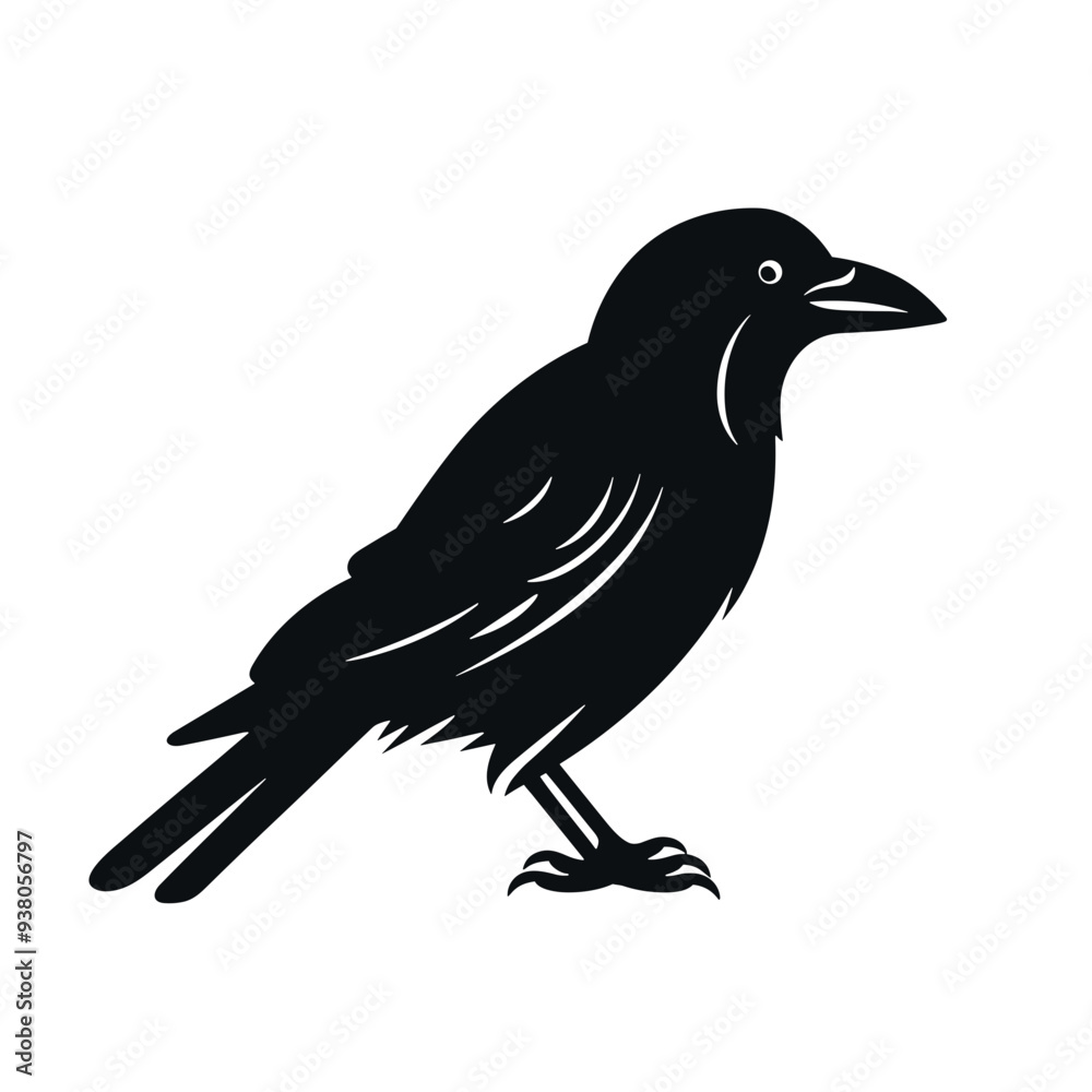 Fototapeta premium bird vector graphic, eagle, hawk, duck, seagull, owl, crow, raven, birdie, sparrow, black and white, colourful graphic