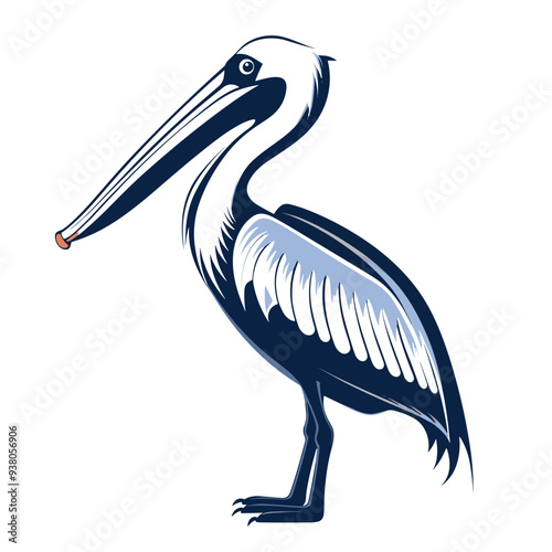 bird vector graphic, eagle, hawk, duck, seagull, owl, crow, raven, birdie, sparrow, black and white, colourful graphic