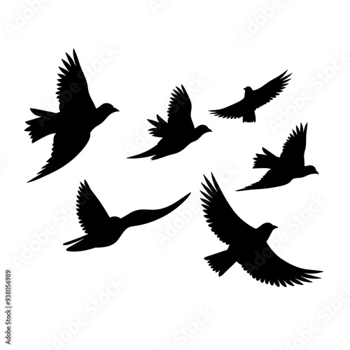 bird vector graphic, black and white, silhouette, colourful