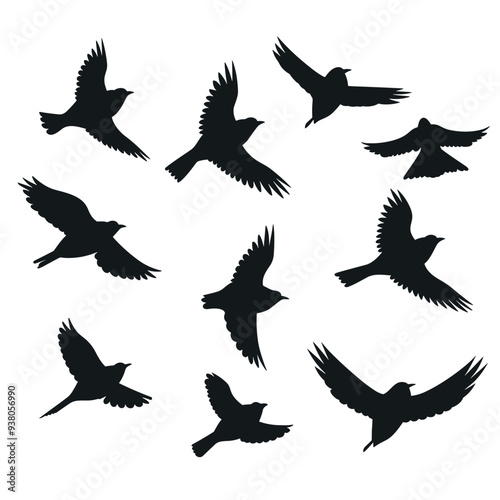 bird vector graphic, black and white, silhouette, colourful