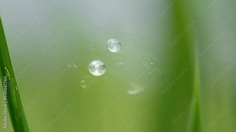 Tiny water droplet is suspended in mid air, frozen in time just before it splashes onto the surface below, creating a sense of anticipation and tranquility Tiny water droplet is suspended in mid air, frozen in time just before it splashes onto the surface below, creating a sense of anticipation and tranquility