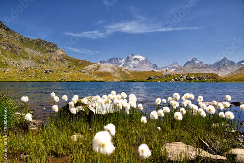 Il Gran Paradiso, visto dai laghi Tre Becchi