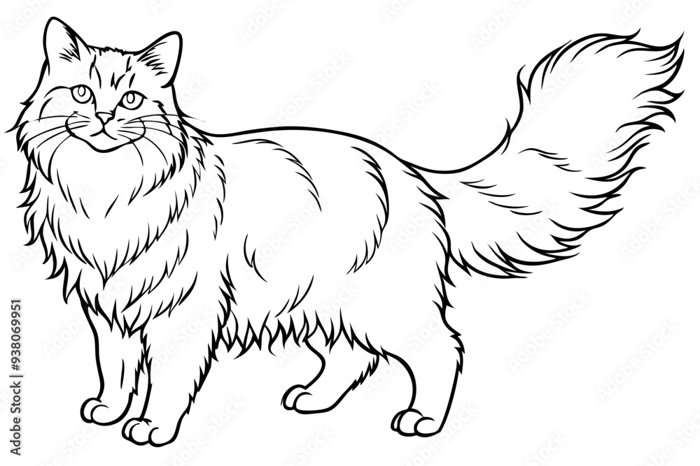 A Persian cat lin art vector silhouette illustration A Persian cat lin art vector silhouette illustration