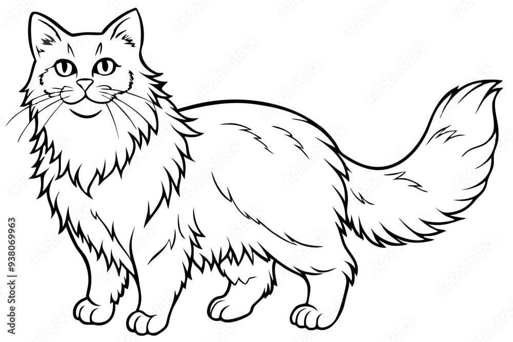 A Persian cat lin art vector silhouette illustration A Persian cat lin art vector silhouette illustration