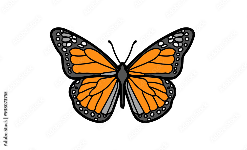 Fototapeta premium butterfly isolated on white background