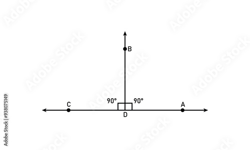 The segment AC is perpendicular to the segment BD in geometry. photo