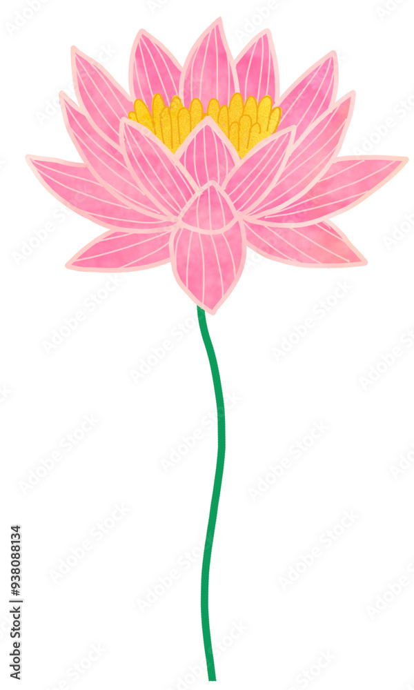 Obraz premium pink flower