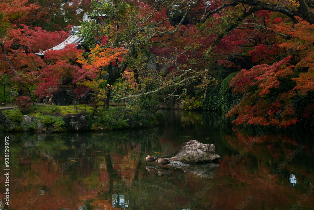 Autumn at the Temple
