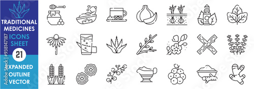 A set of line icons related to Traditional Medicines. Turmeric, Honey, Ginger, Garlic, Peppermint, Echinacea, Aloe Vera, Willow, Licorice, Lavender, Eucalyptus, Cranberry, and so on. Vector outline.