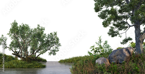 Quadro su tela 3D render foreground swamp with large plants and trees on transparent background