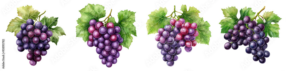 Fototapeta premium Vibrant cluster of grapes with lush green leaves, perfect for illustrating freshness and natural beauty in culinary or health contexts.