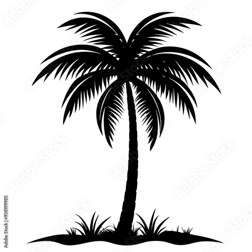 Coconut tree silhouette, Grass 