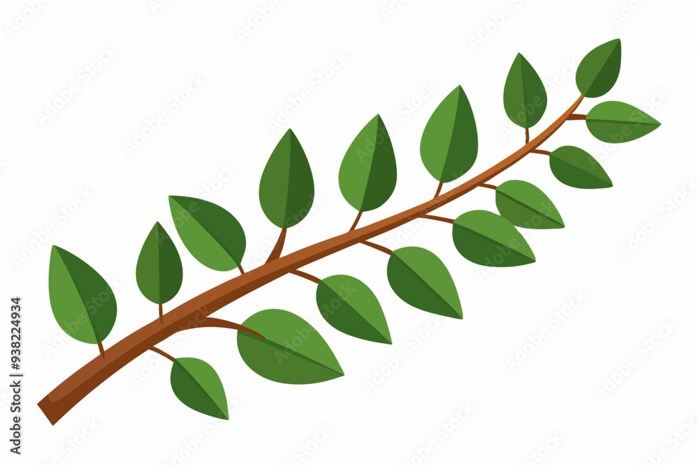Fototapeta premium Large Horizontal Brown Branch with Green Eucalyptus Leaves on White Background
