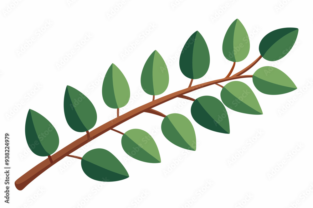 Naklejka premium Large Horizontal Brown Branch with Green Eucalyptus Leaves on White Background