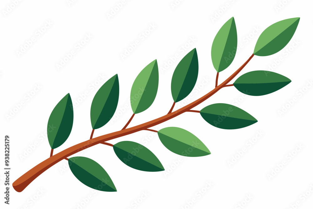 Obraz premium Large Horizontal Brown Branch with Green Eucalyptus Leaves on White Background