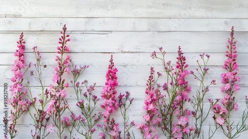 Flowers Composition for Celebration with Pink Plants on Old White Wooden Background. AI generated illustration photo