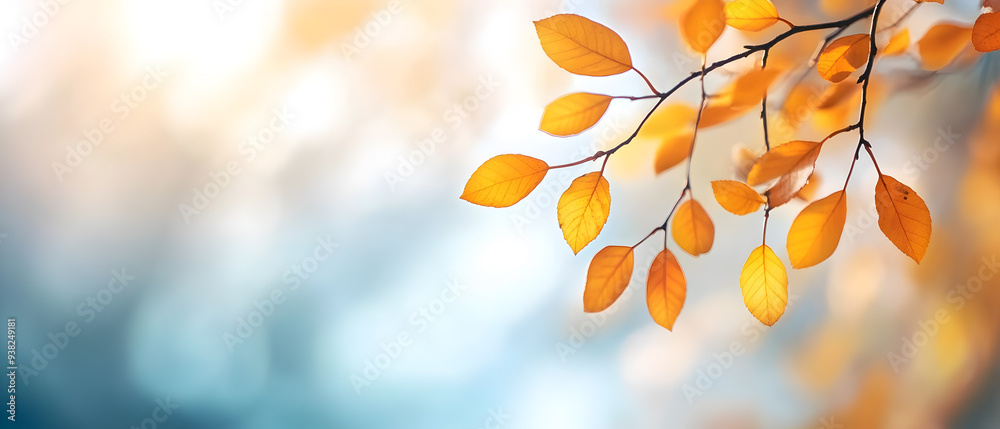 Close up of a branch with bright yellow fall leaves against a soft blue and white background. Close up of a branch with bright yellow fall leaves against a soft blue and white background.