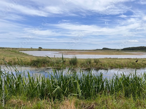 Photography Landscape view of beautiful nature reserve for bird watching wildlife lakes in m