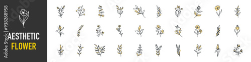 Hand drawn line aesthetic flowers set, vector minimal floral element collection, monochrome, linear flowers, leaves for posters, wall art, cover, decoration. Wedding invitation, wallpaper art brunch.